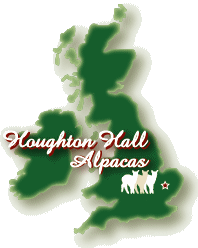 Houghton Hall Alpacas